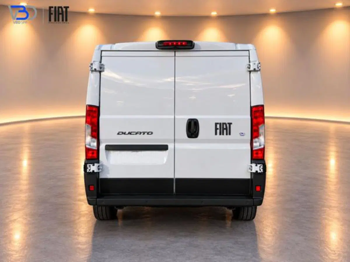 Fiat Ducato Furgone usata a Brescia (6)