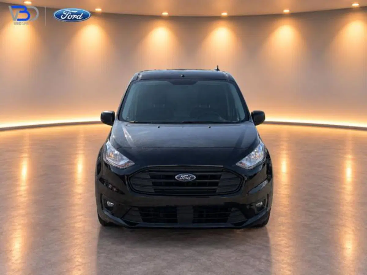 Ford Transit Connect Furgone usata a Brescia (2)