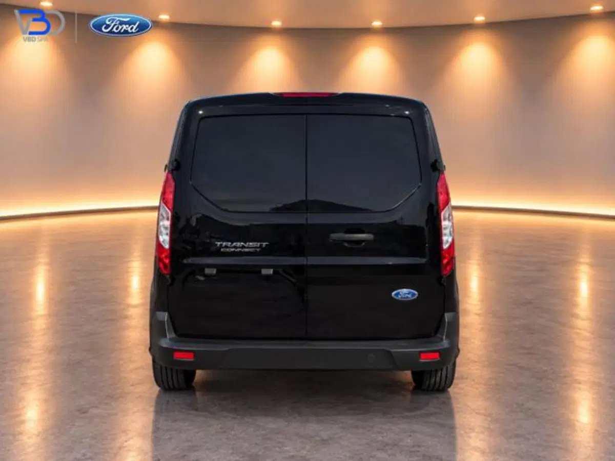 Ford Transit Connect Furgone usata a Brescia (6)
