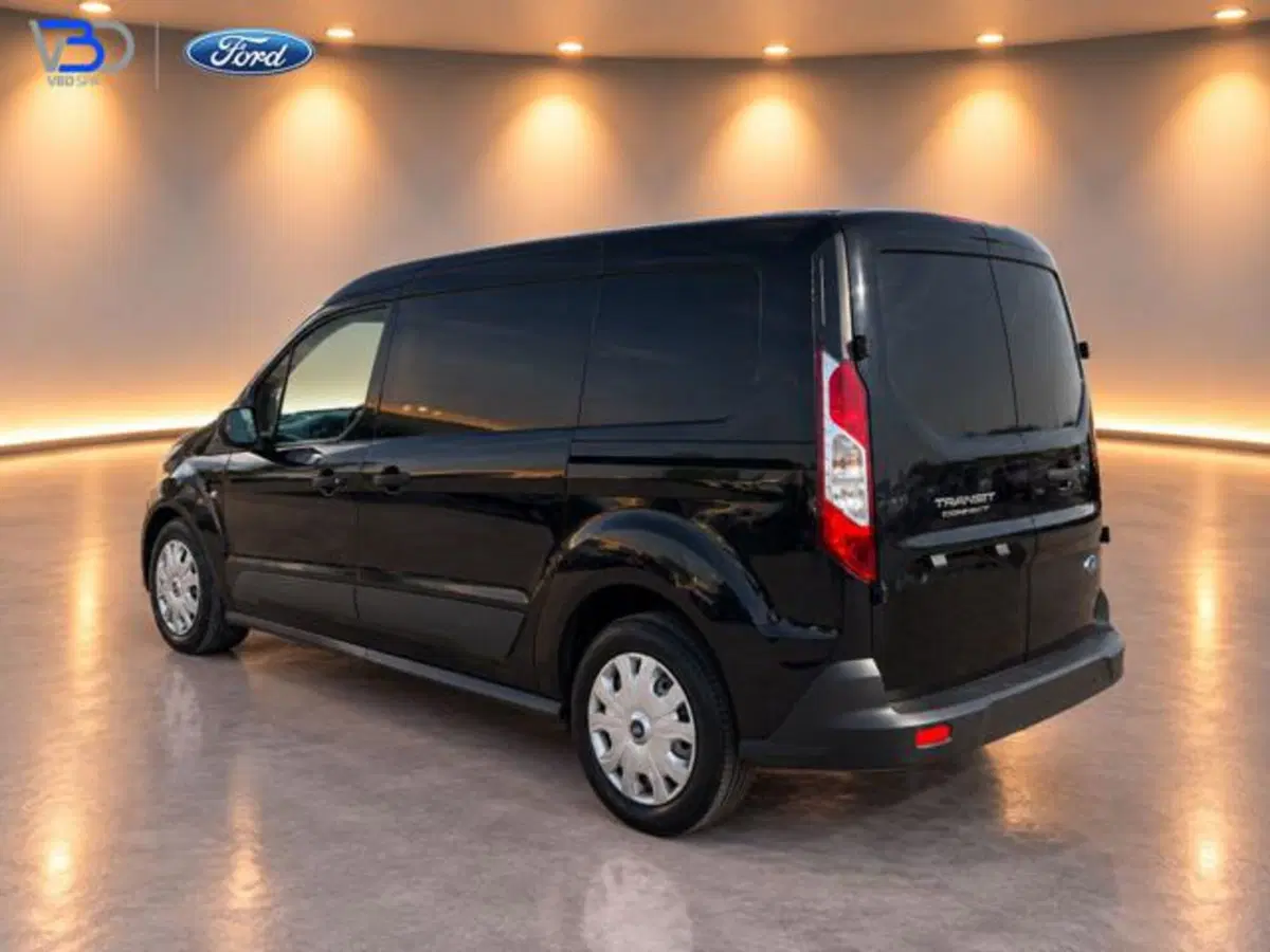 Ford Transit Connect Furgone usata a Brescia (7)