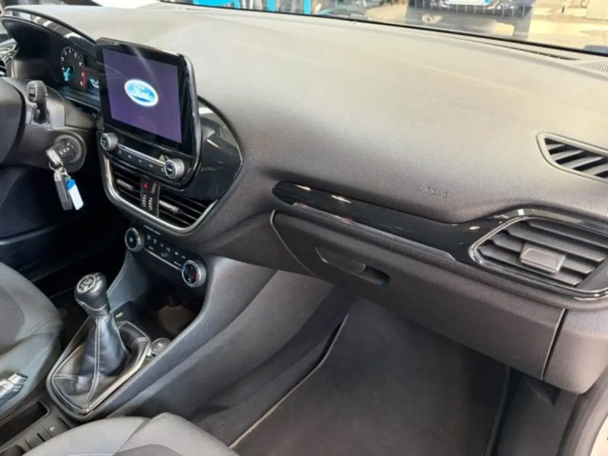 Ford Fiesta usata a Lodi (7)