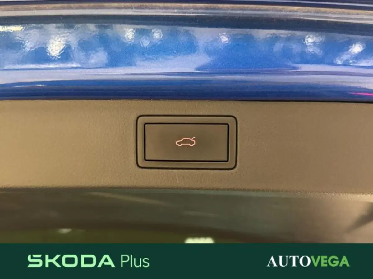 Skoda Kamiq usata a Vicenza (16)