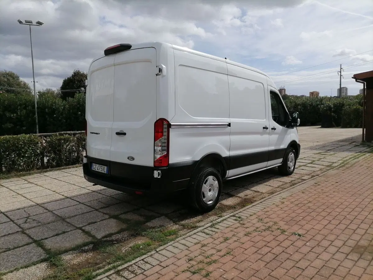 Ford Transit Furgone usata a Roma (2)