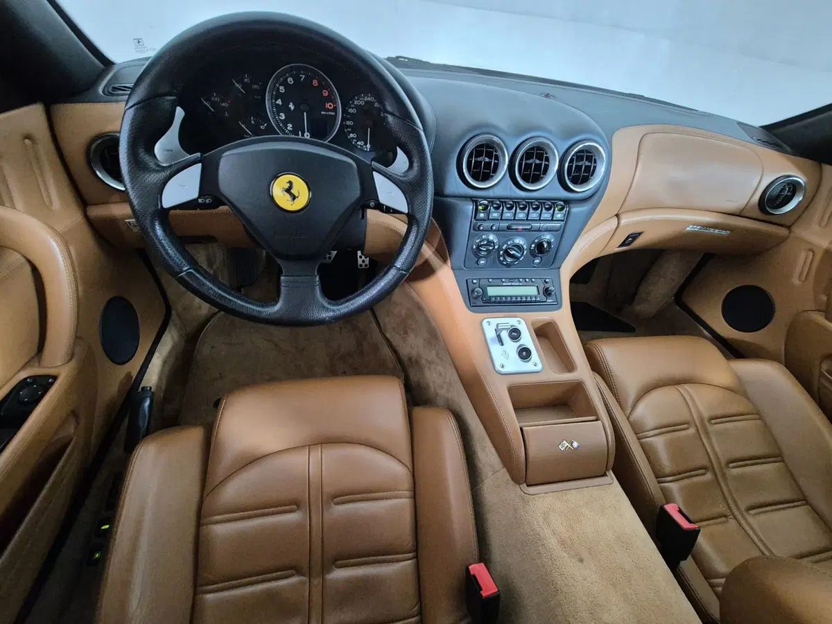 Ferrari 575M Coupé usata a Torino (9)