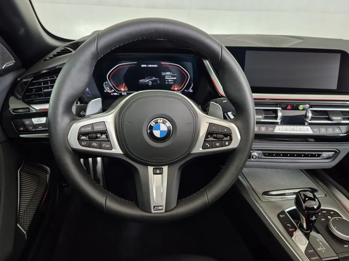 BMW Z4 Cabrio usata a Torino (10)