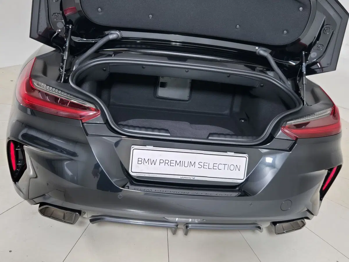 BMW Z4 Cabrio usata a Torino (15)