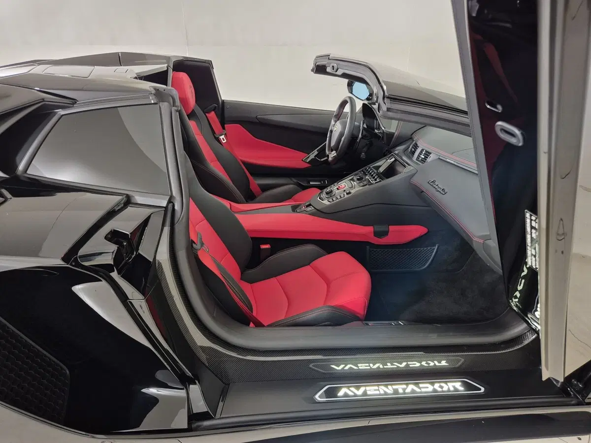 Lamborghini Aventador Coupé usata a Torino (10)