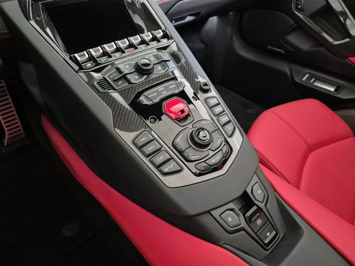 Lamborghini Aventador Coupé usata a Torino (11)