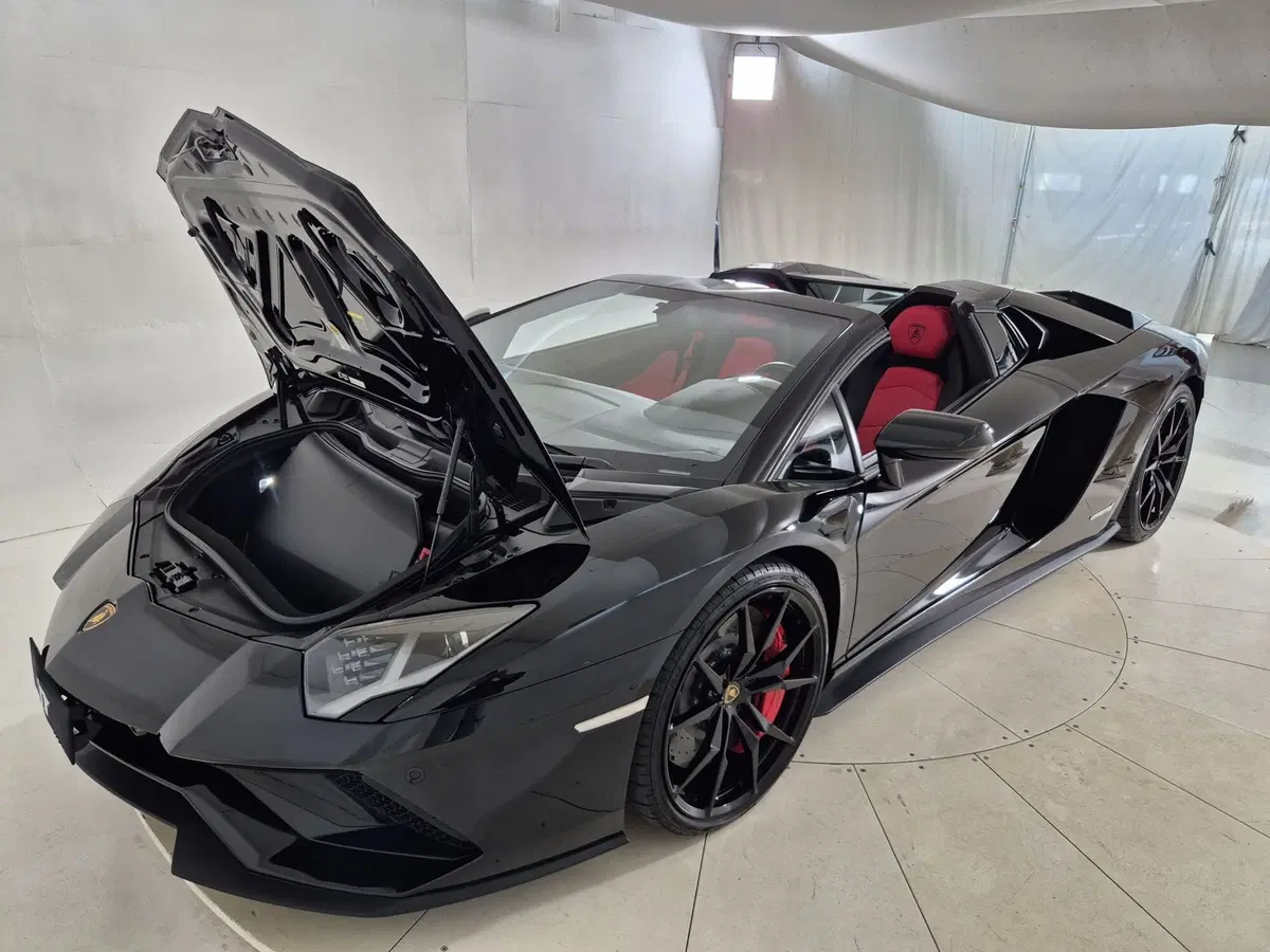 Lamborghini Aventador Coupé usata a Torino (15)