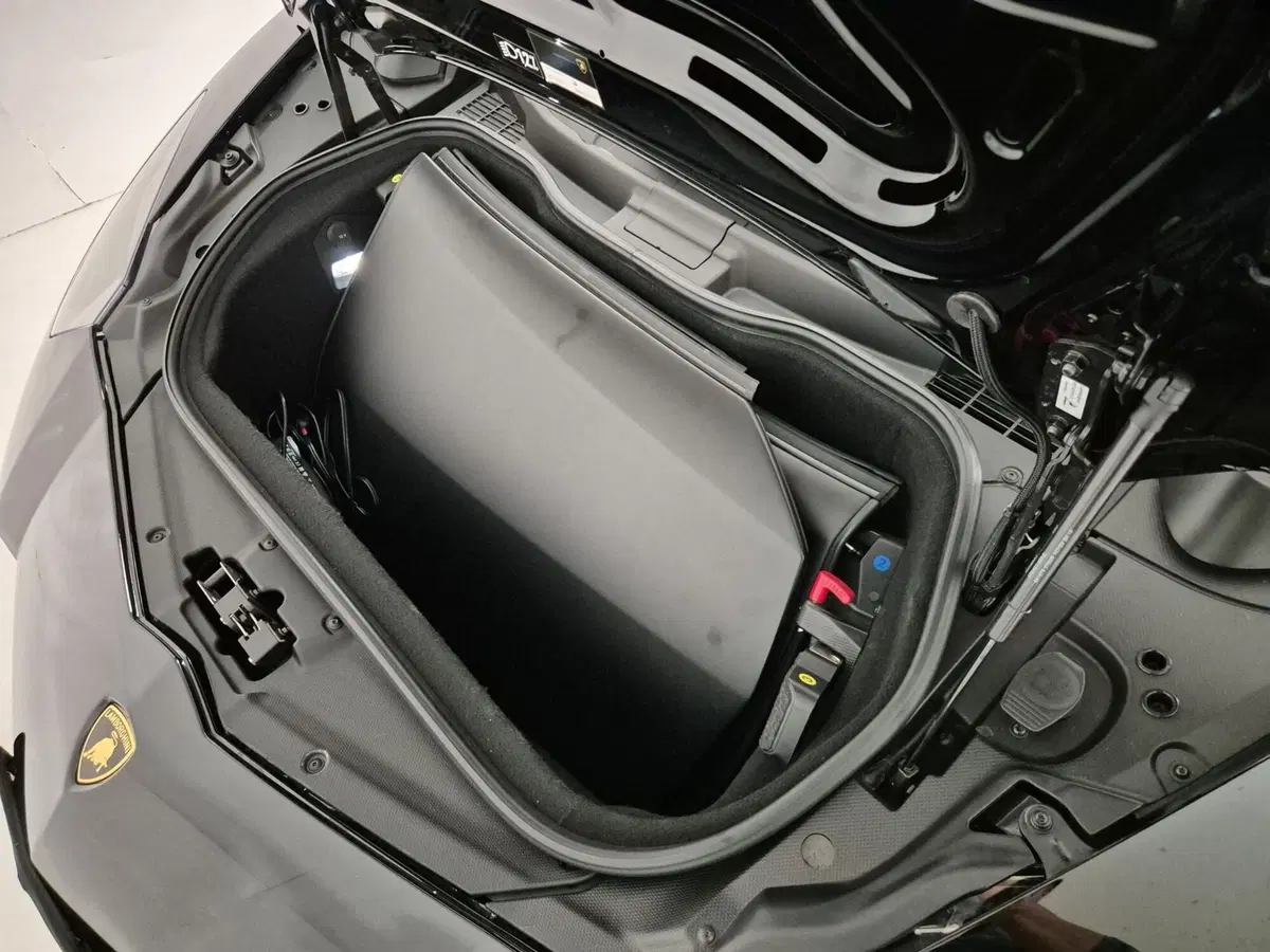 Lamborghini Aventador Coupé usata a Torino (16)