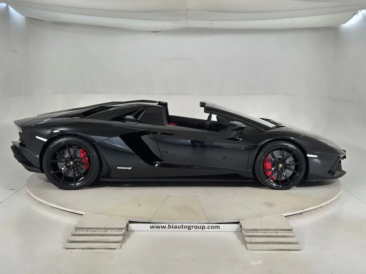 Lamborghini Aventador Coupé usata a Torino (5)