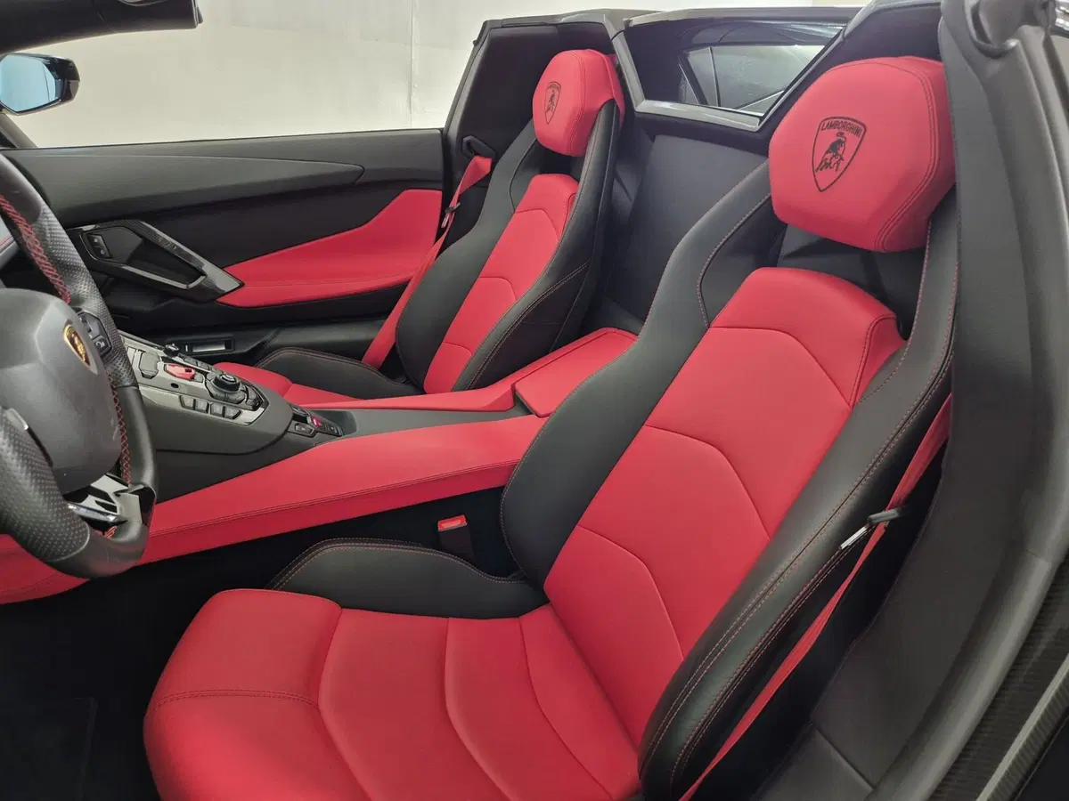 Lamborghini Aventador Coupé usata a Torino (7)