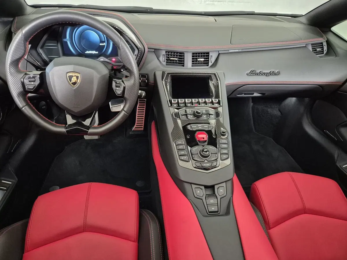 Lamborghini Aventador Coupé usata a Torino (8)