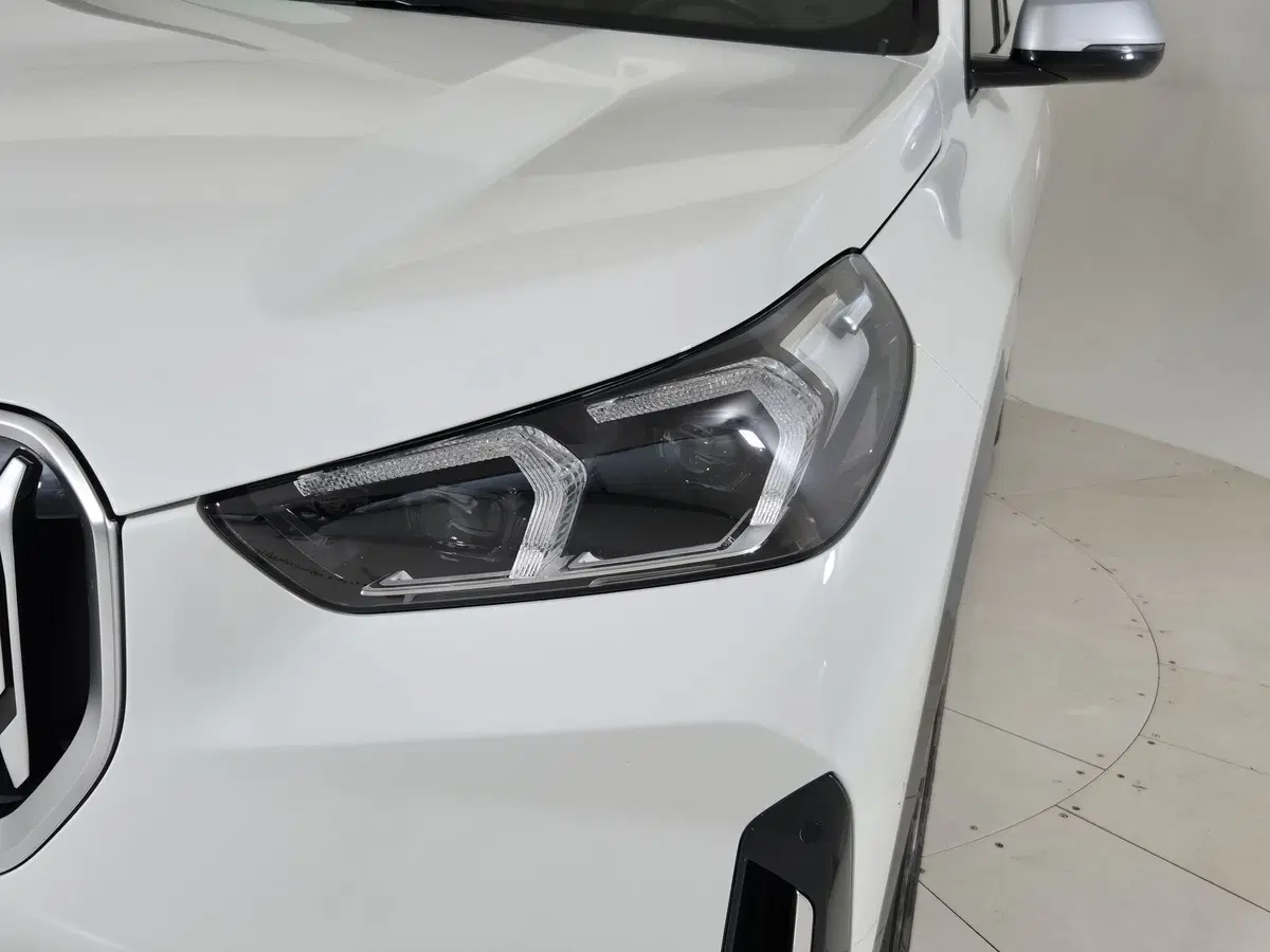 BMW X1 usata a Torino (20)