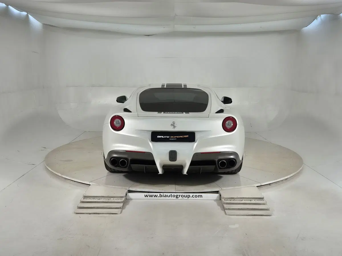 Ferrari F12 Coupé usata a Torino (3)