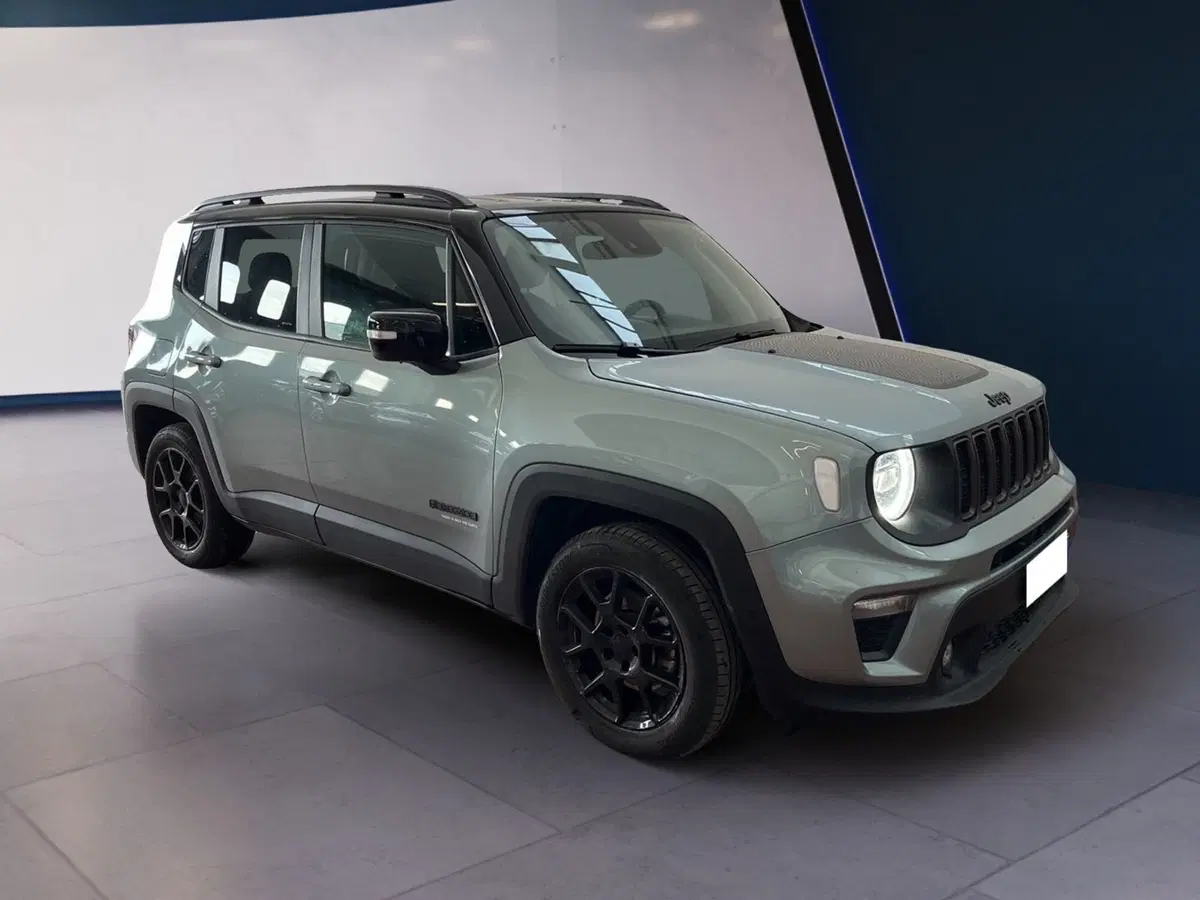 Jeep Renegade usata a Torino (2)