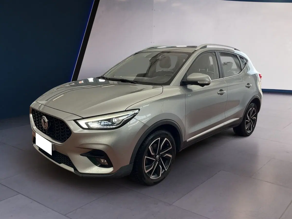 Mg ZS usata a Torino (3)