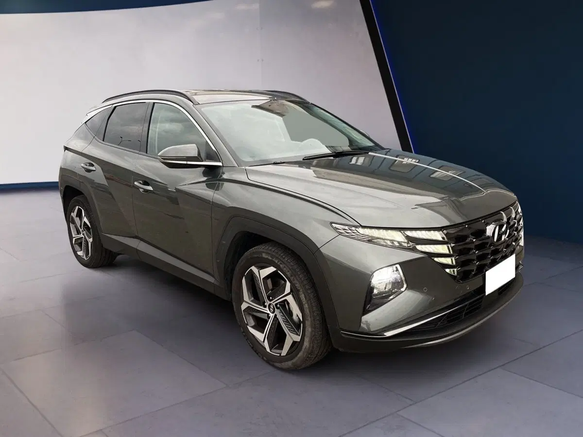 Hyundai Tucson usata a Torino (2)