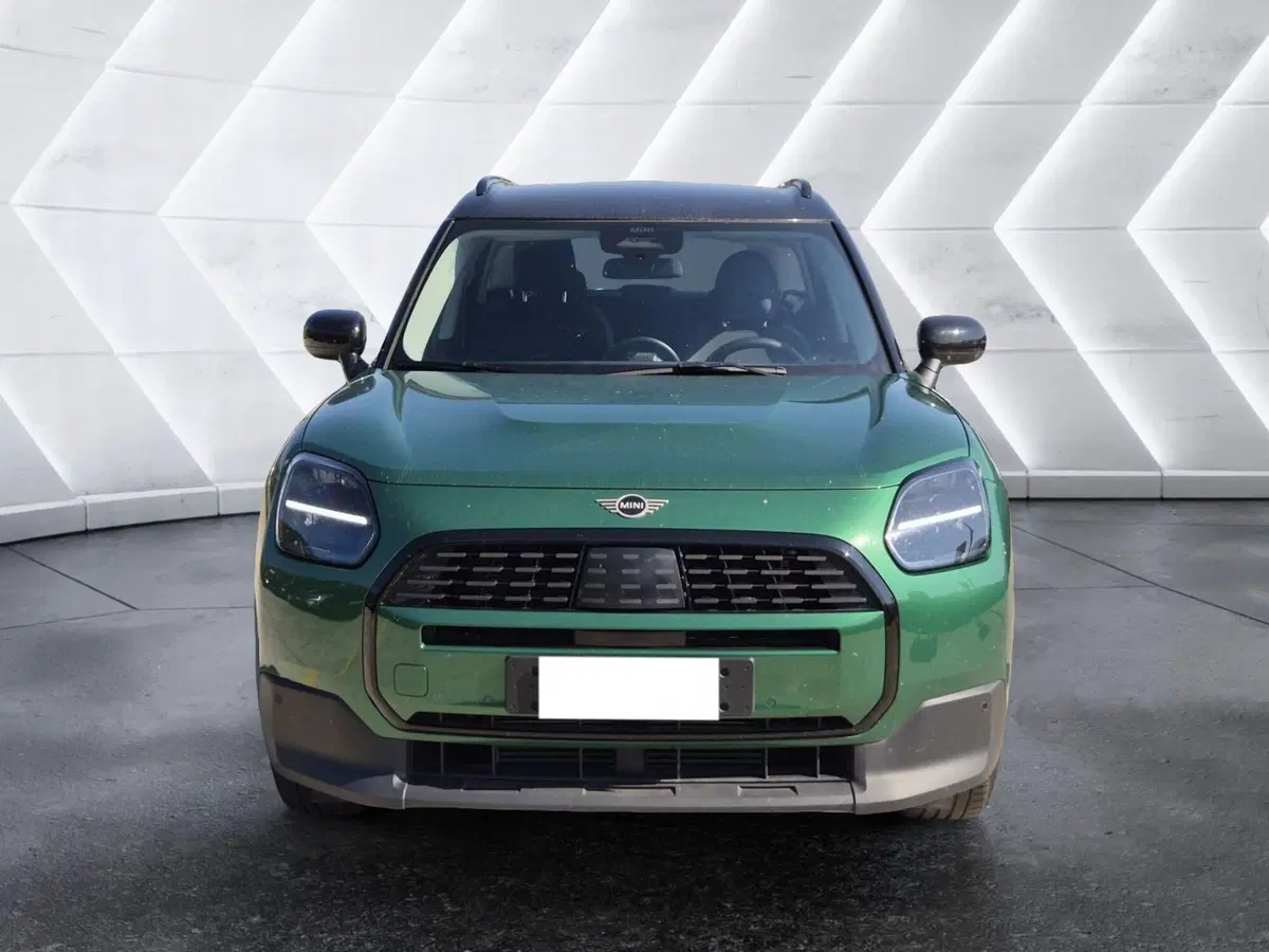 MINI Mini Countryman usata  (2)