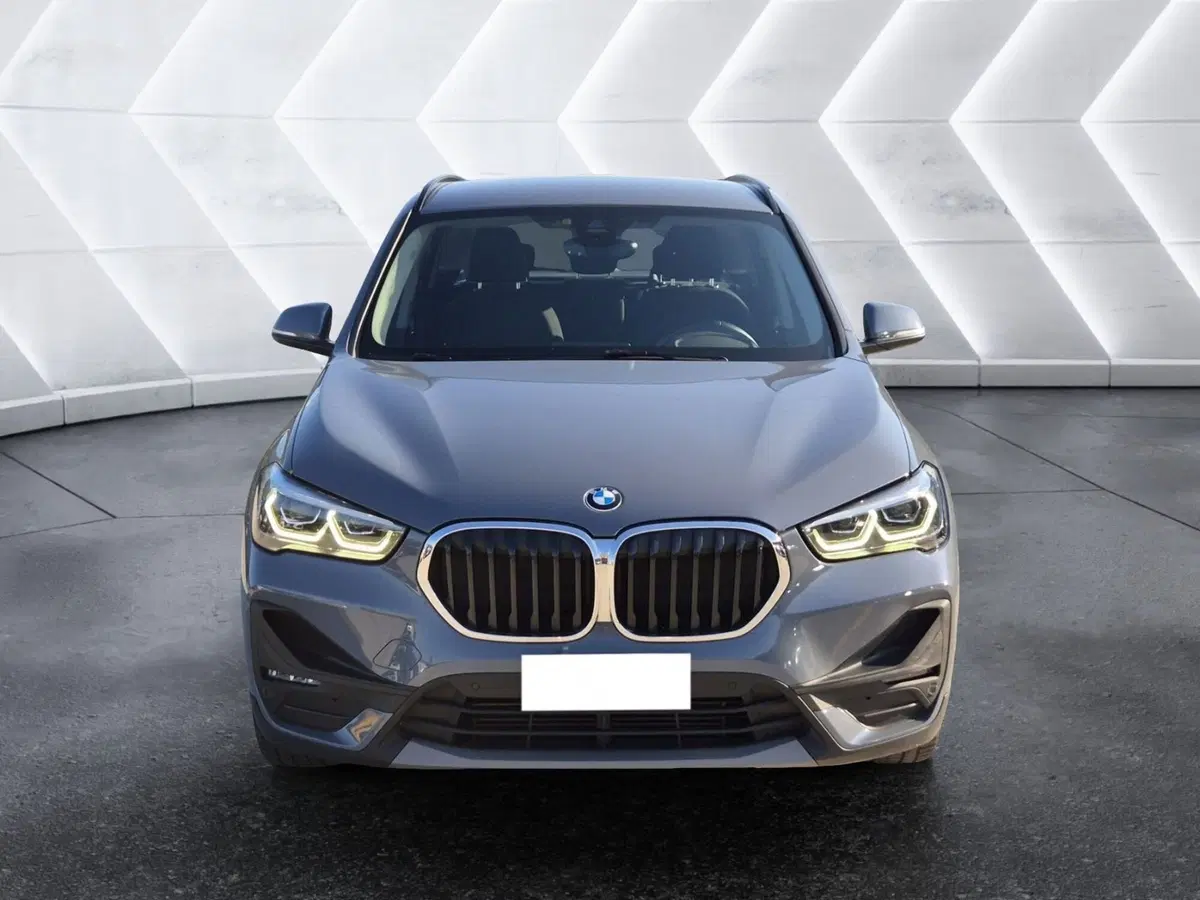 BMW X1 usata  (2)