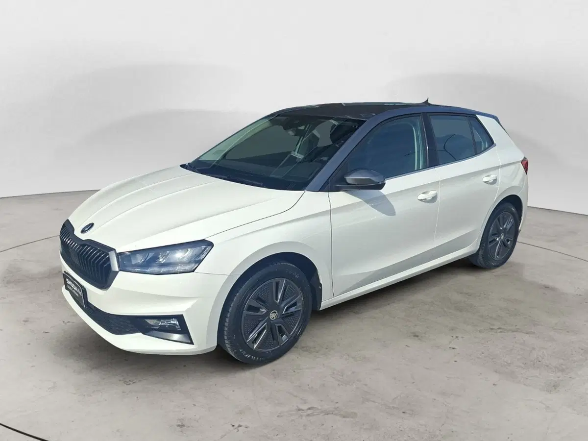 Skoda Fabia usata a Ancona
