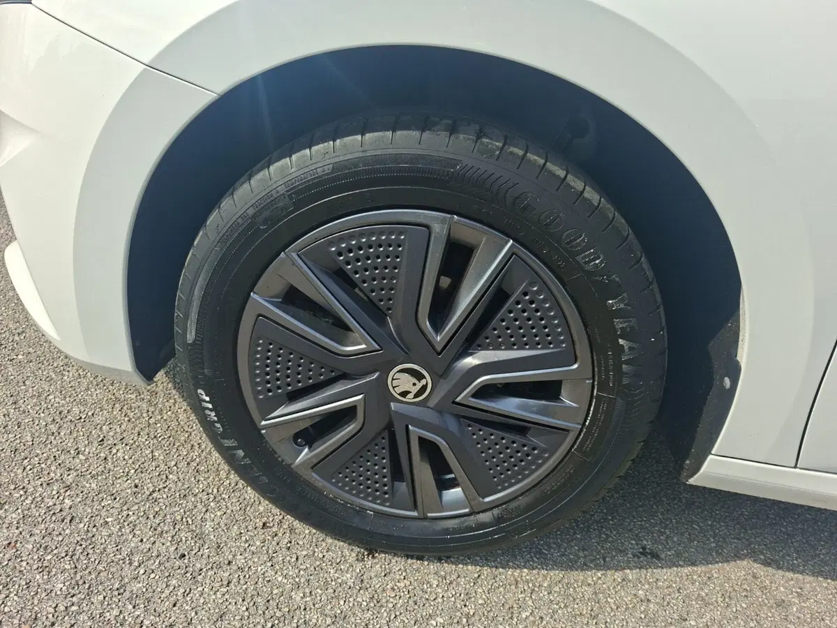 Skoda Fabia usata a Ancona (10)