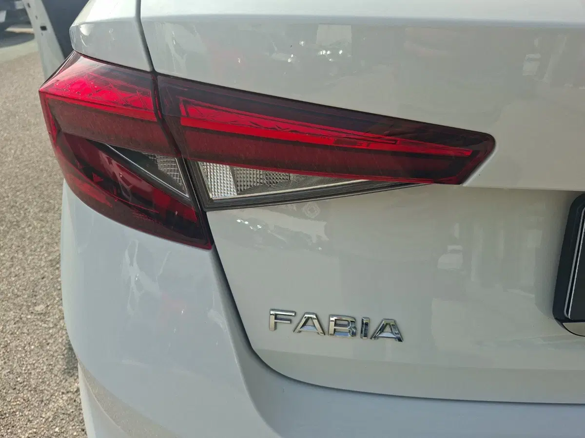 Skoda Fabia usata a Ancona (15)