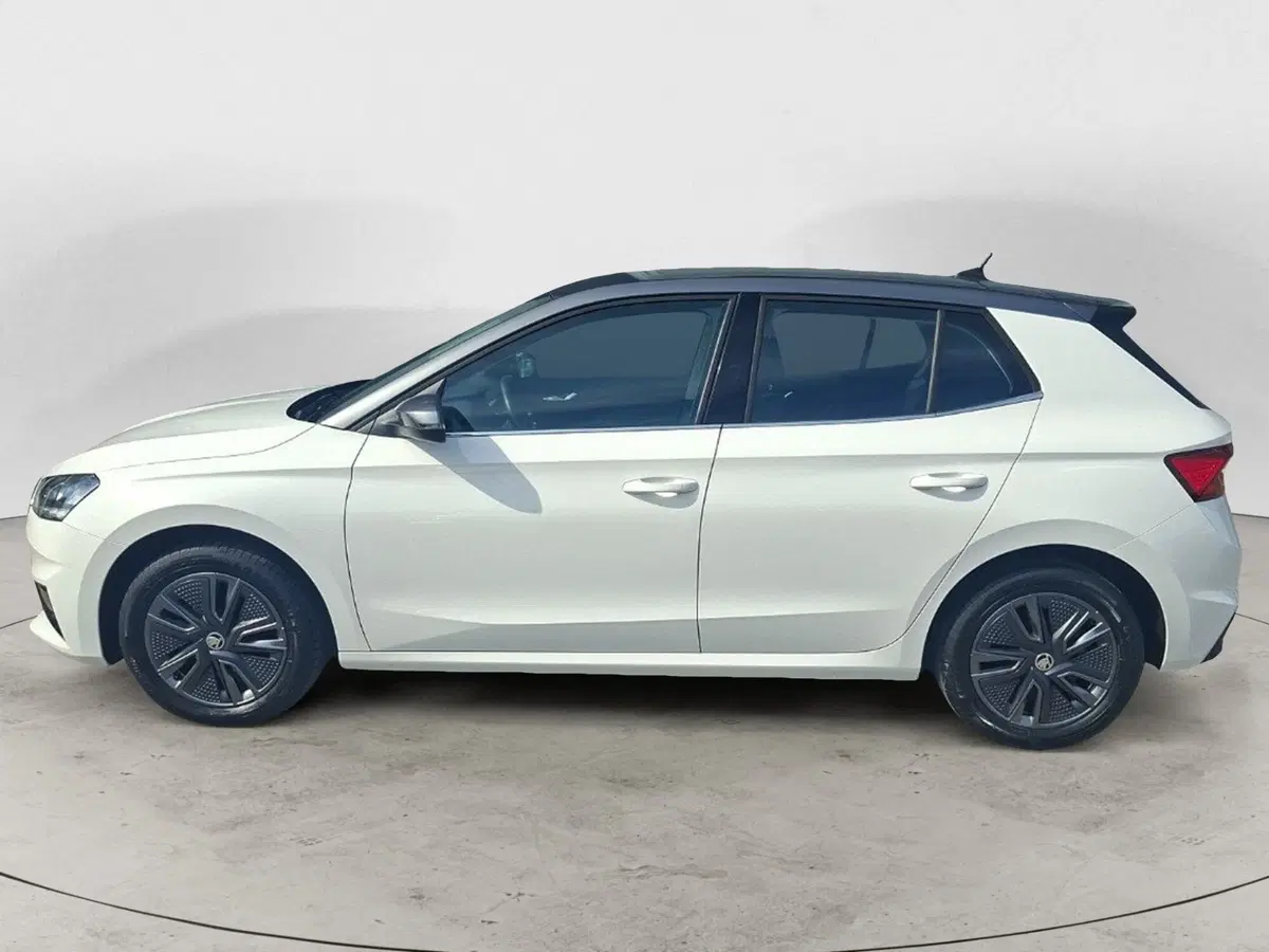 Skoda Fabia usata a Ancona (2)
