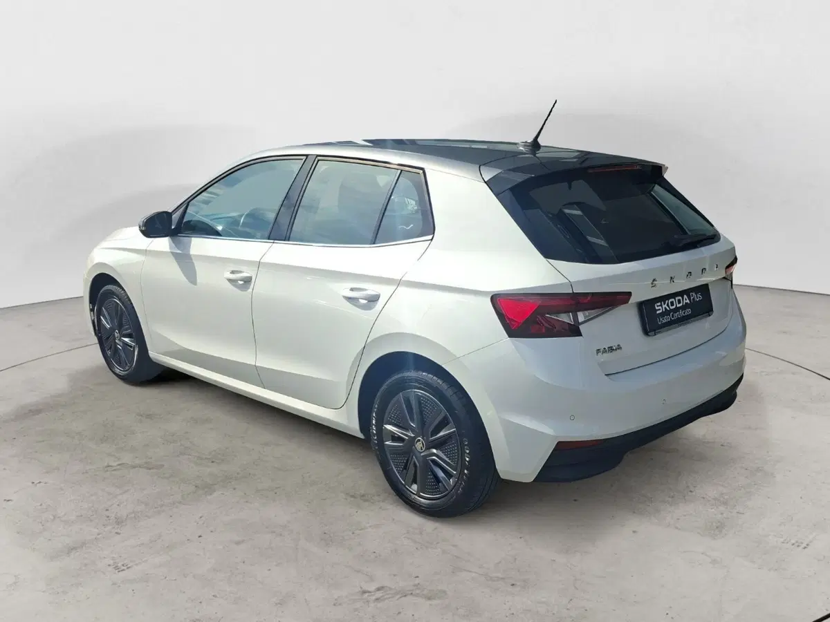 Skoda Fabia usata a Ancona (3)