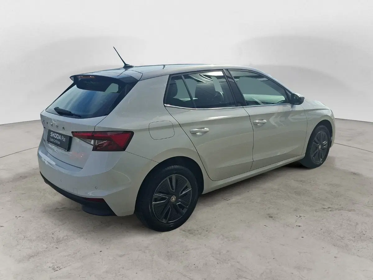 Skoda Fabia usata a Ancona (5)