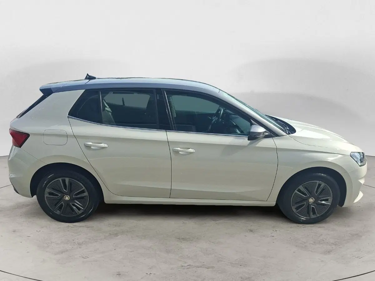 Skoda Fabia usata a Ancona (6)
