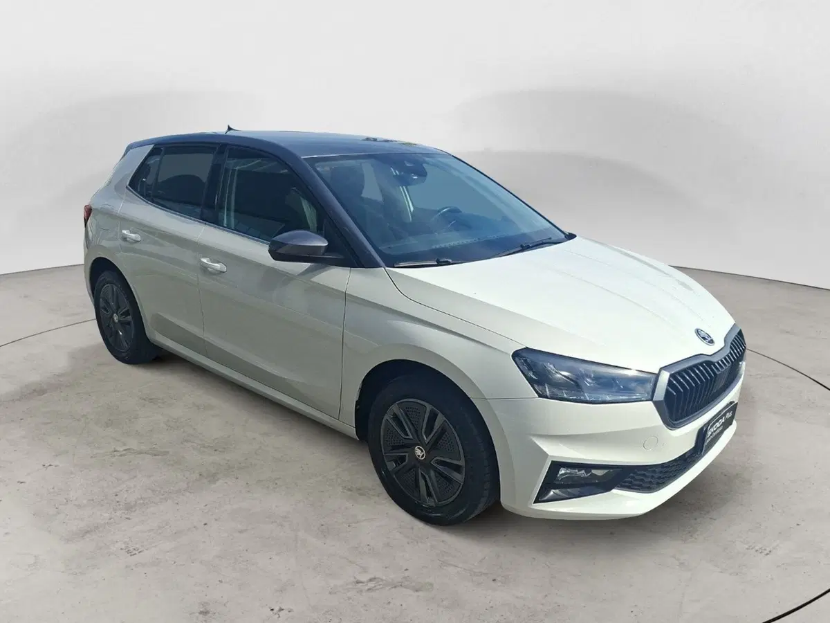 Skoda Fabia usata a Ancona (7)