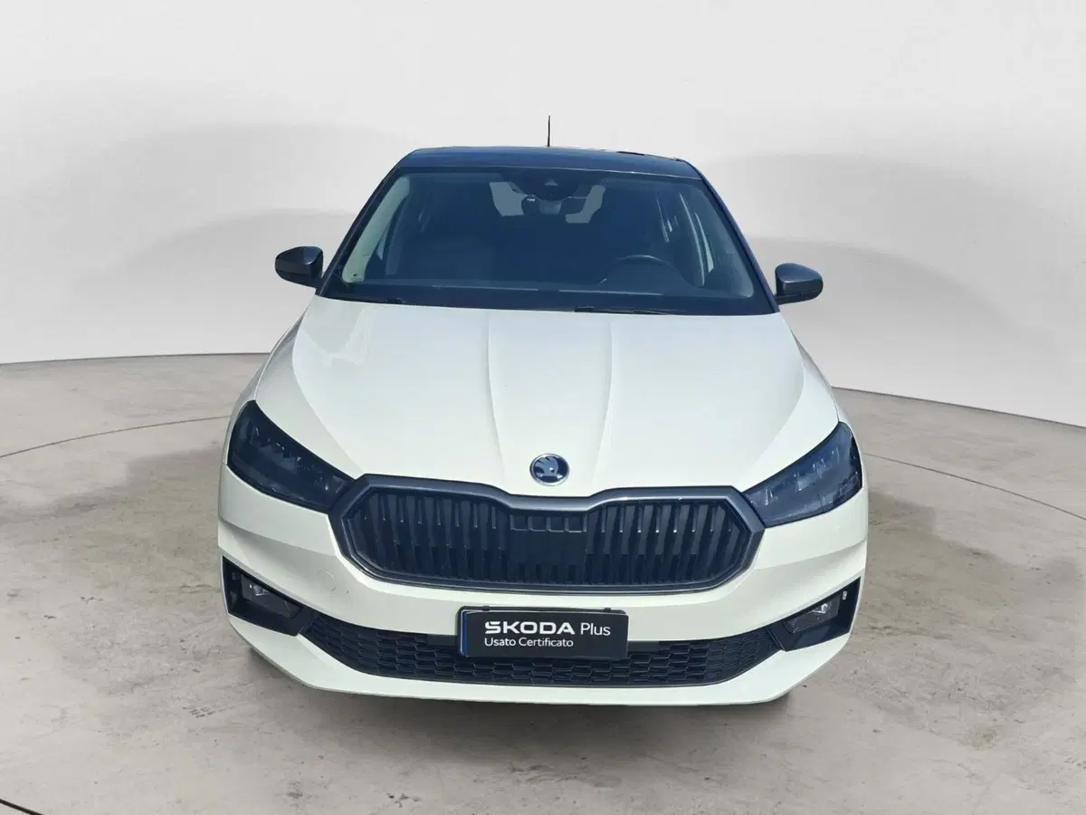 Skoda Fabia usata a Ancona (8)