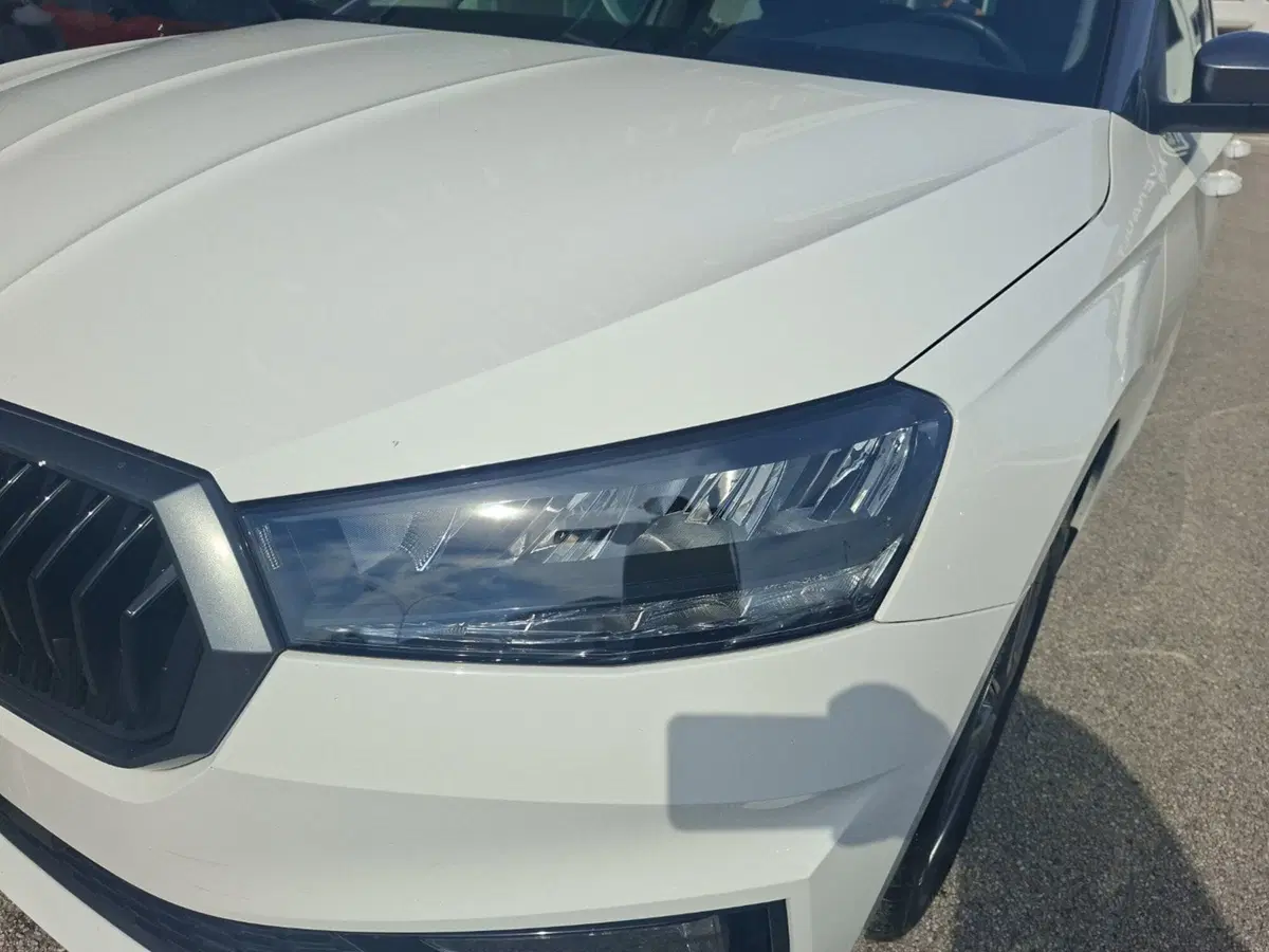 Skoda Fabia usata a Ancona (9)