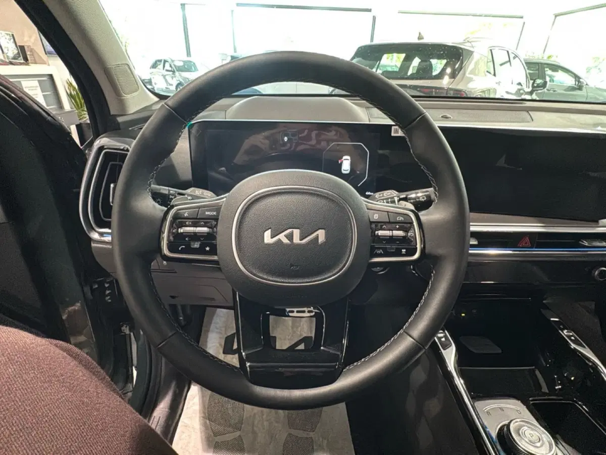 Kia Sorento nuova a Ravenna (15)