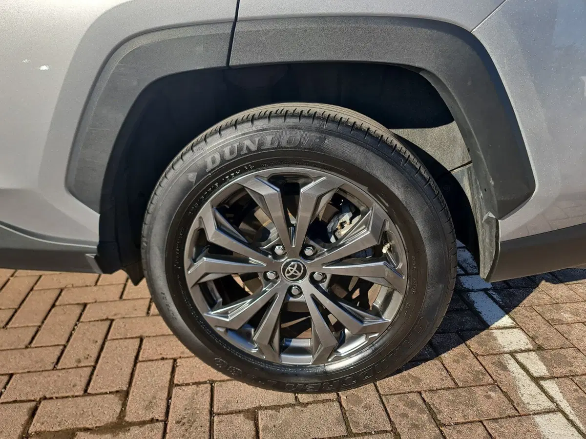 Toyota Rav4 usata a Bologna (7)