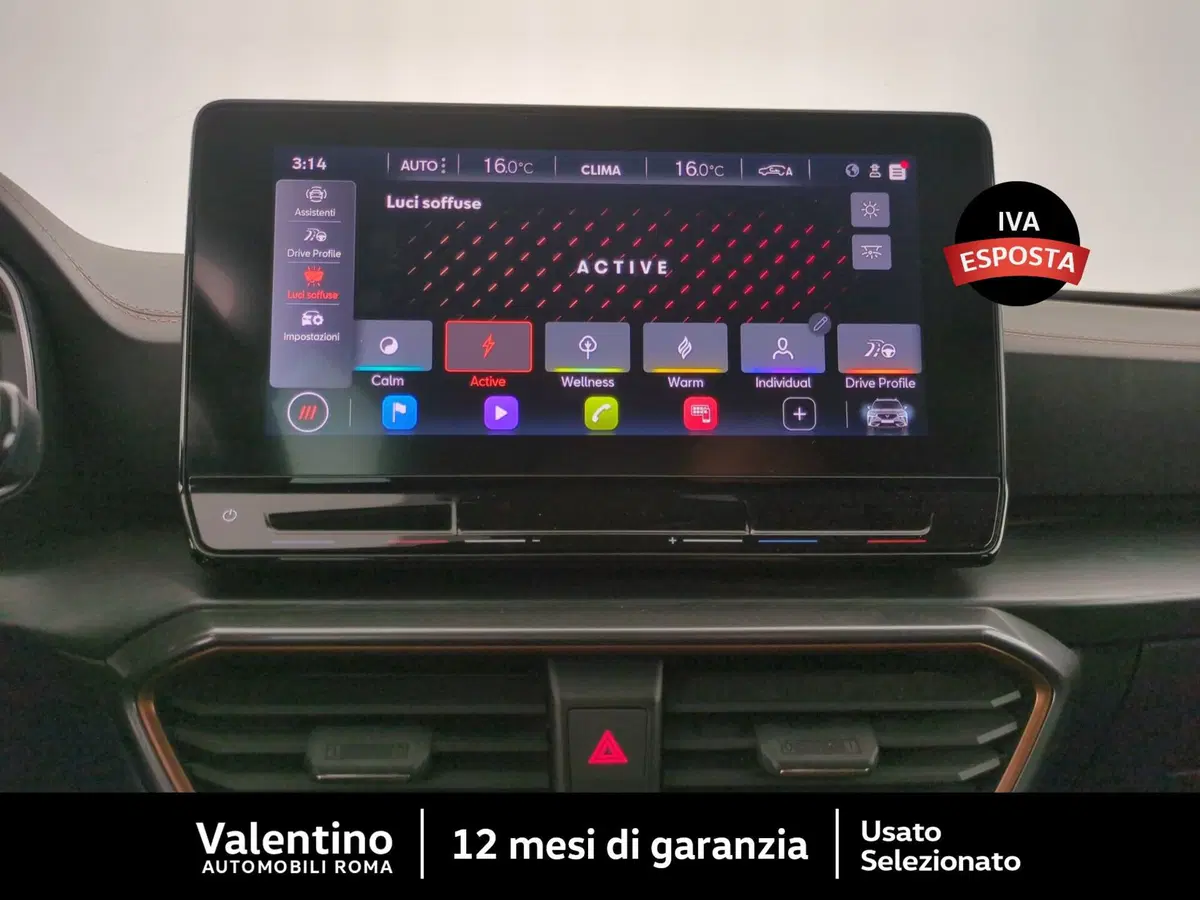 Cupra Formentor usata a Roma (16)