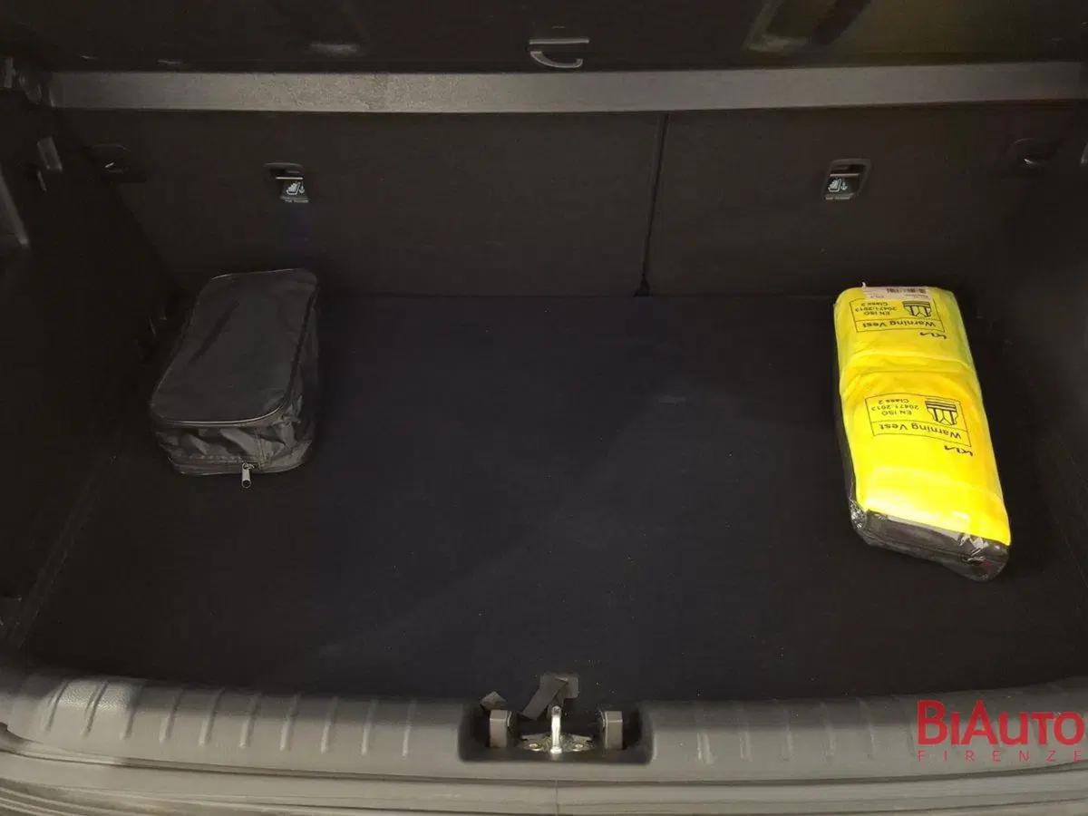 Kia Stonic usata a Firenze (5)
