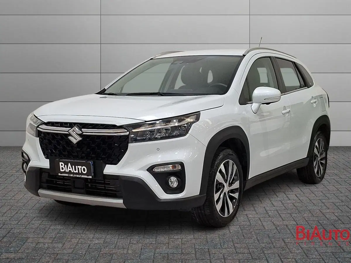 Suzuki S-Cross usata a Firenze
