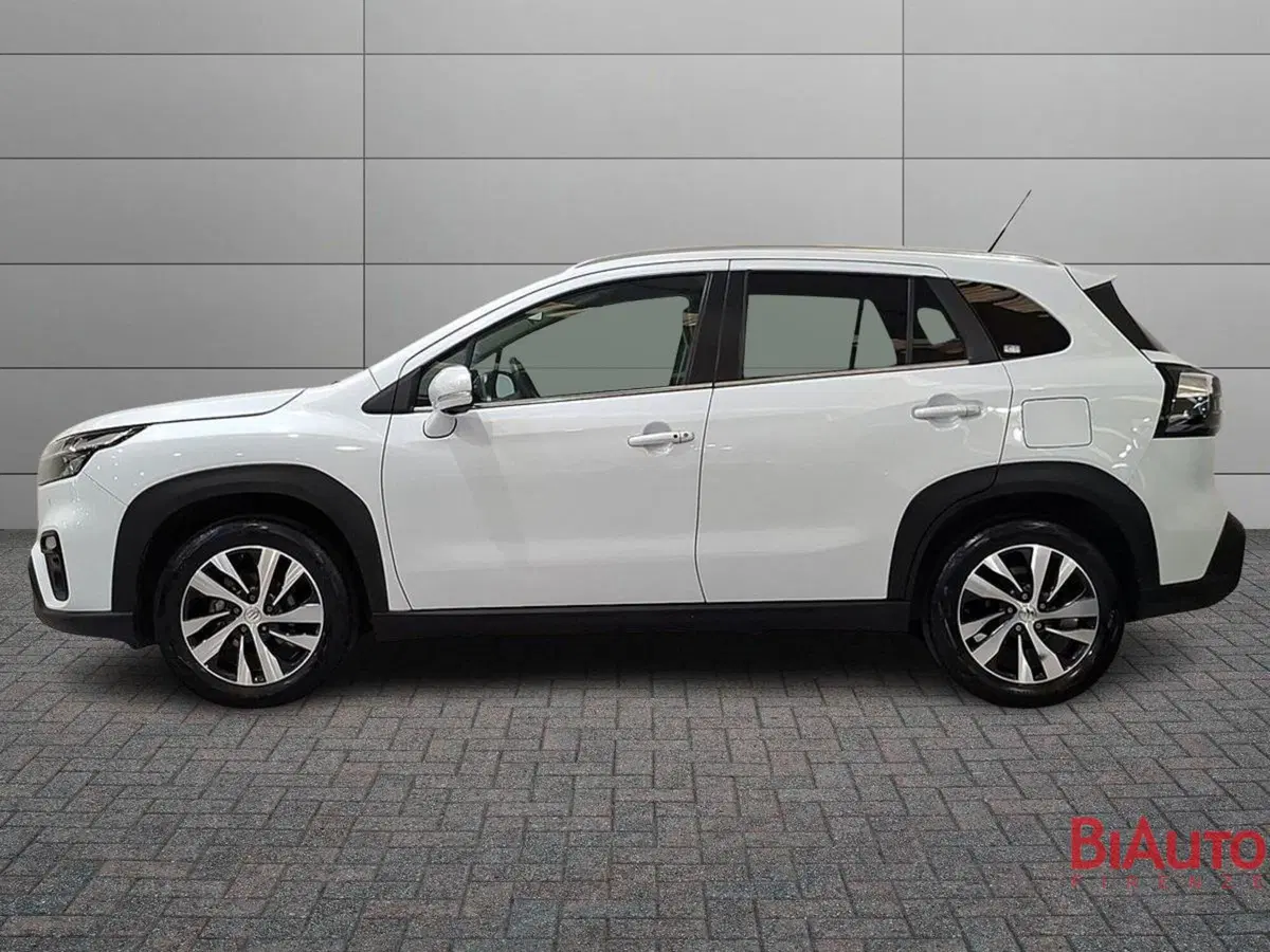 Suzuki S-Cross usata a Firenze (2)