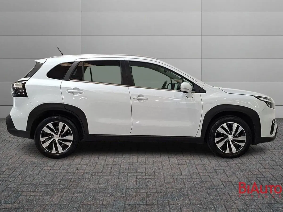 Suzuki S-Cross usata a Firenze (3)
