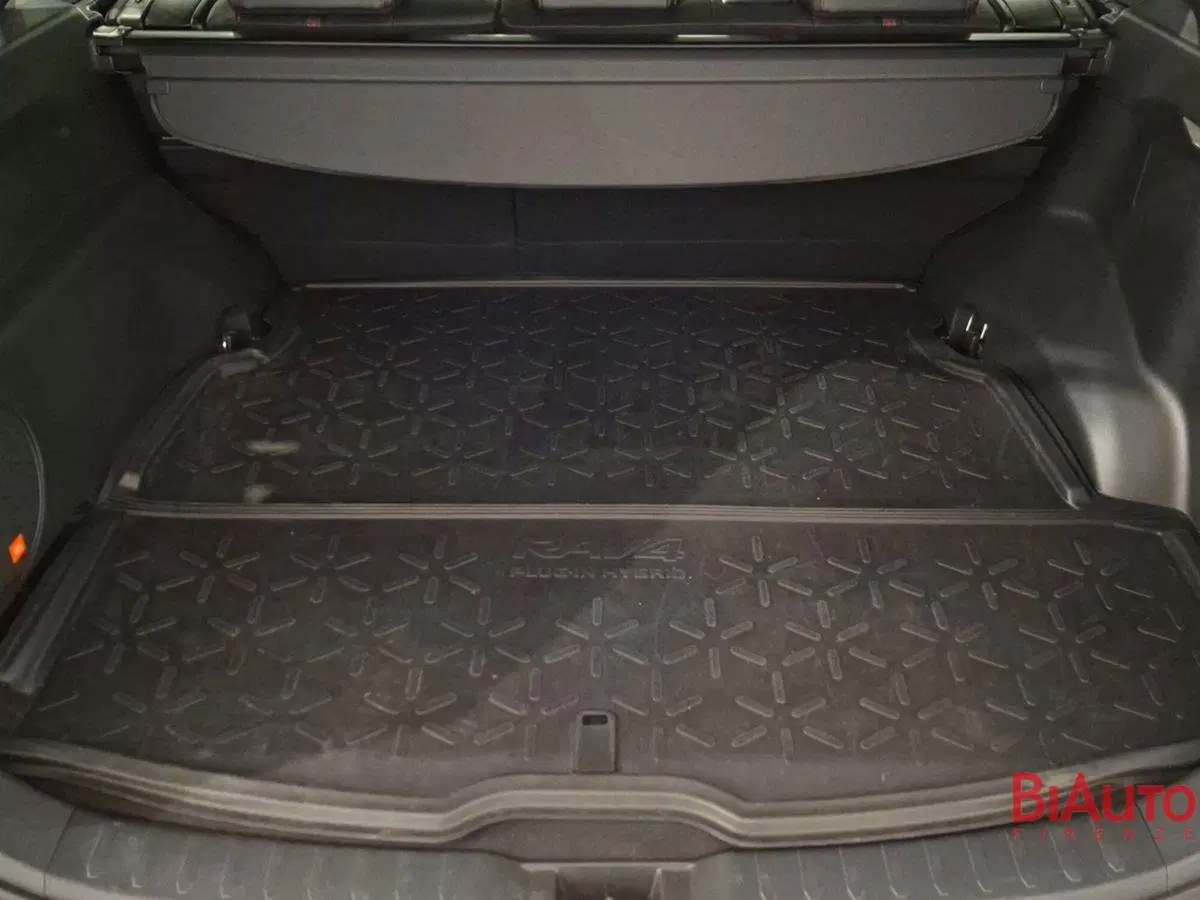 Toyota Rav4 usata a Firenze (6)