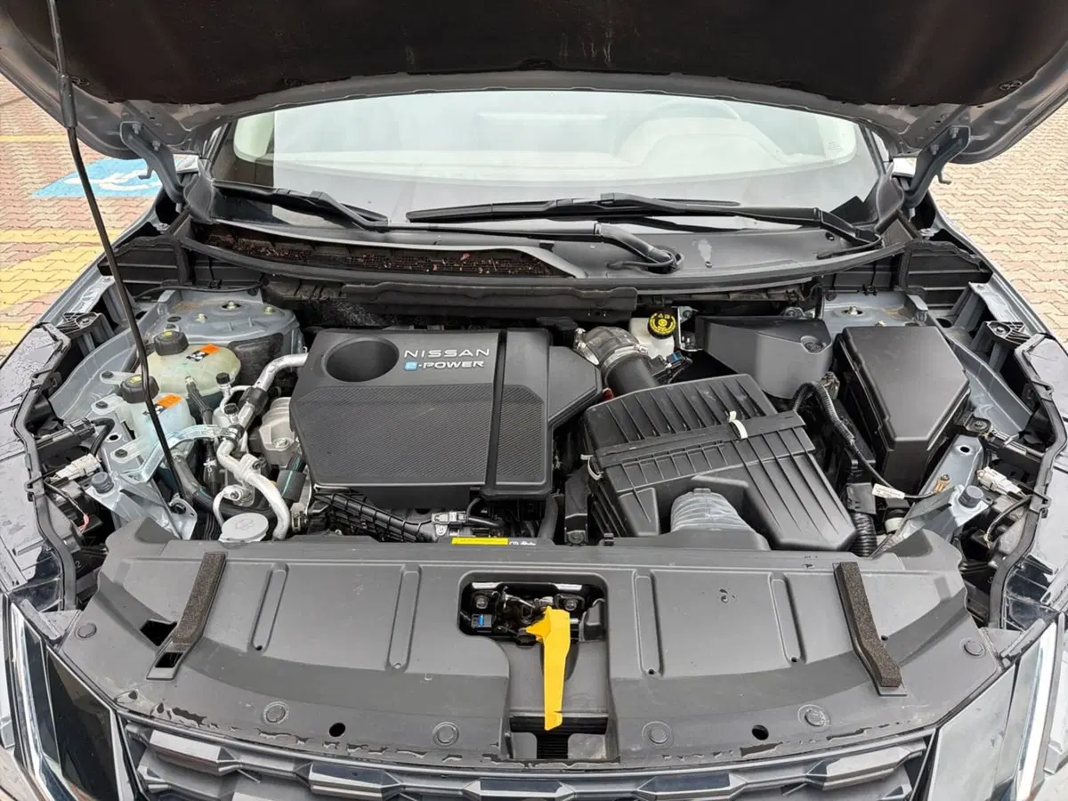 Nissan X-Trail usata a Siena (18)