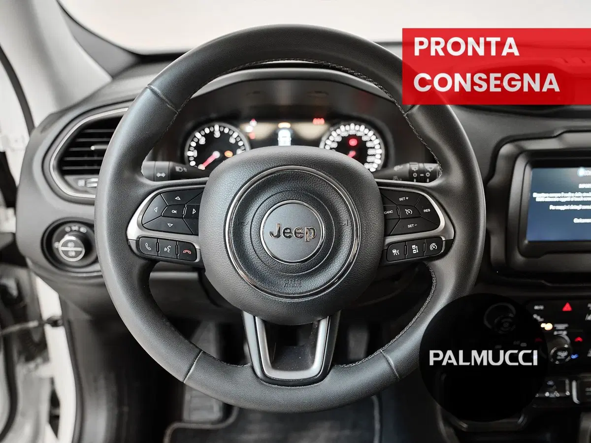 Jeep Renegade usata a Prato (19)