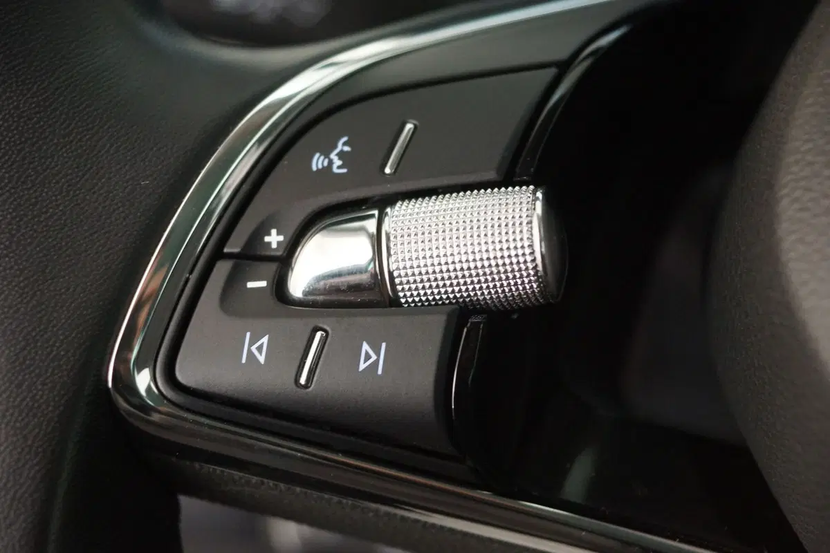 Skoda Kodiaq usata a Torino (13)