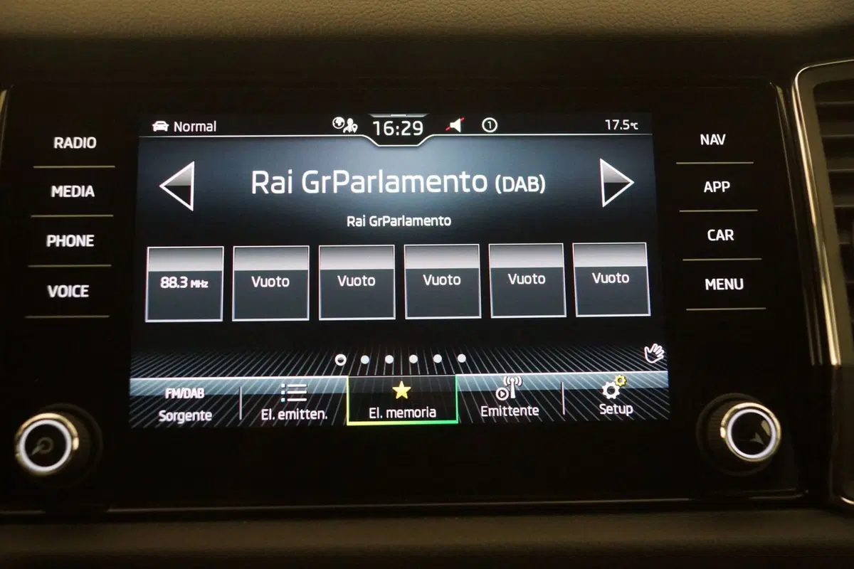 Skoda Kodiaq usata a Torino (19)