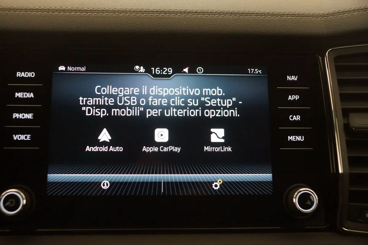 Skoda Kodiaq usata a Torino (20)