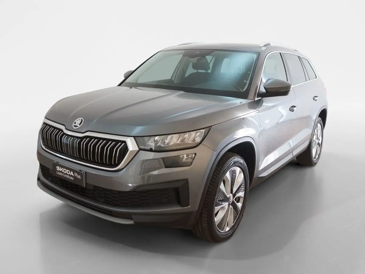 Skoda Kodiaq usata a Torino (3)
