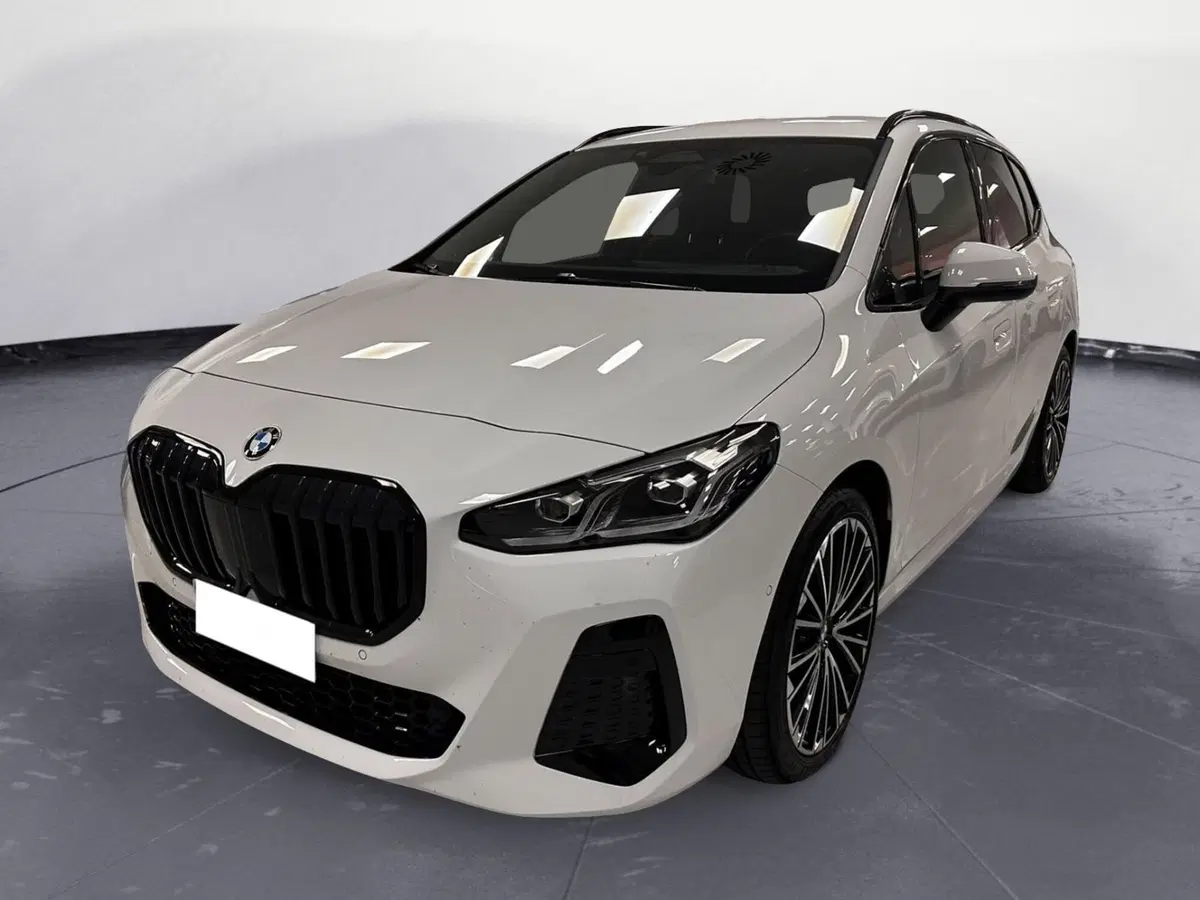 BMW Serie 2 Active Tourer usata a Cuneo