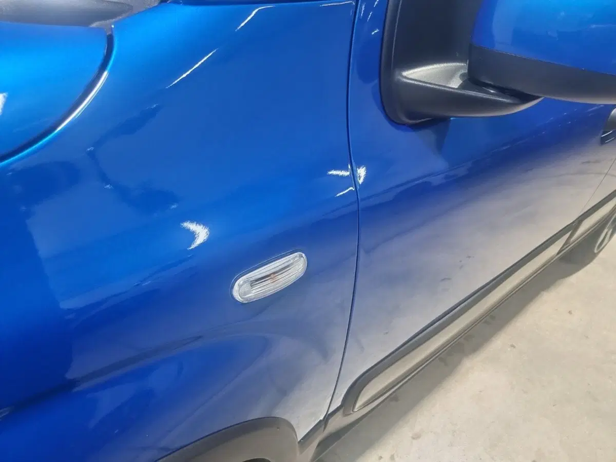 Fiat Pandina usata a Caserta (11)